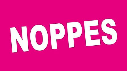 Logo kringloopwinkel Noppes